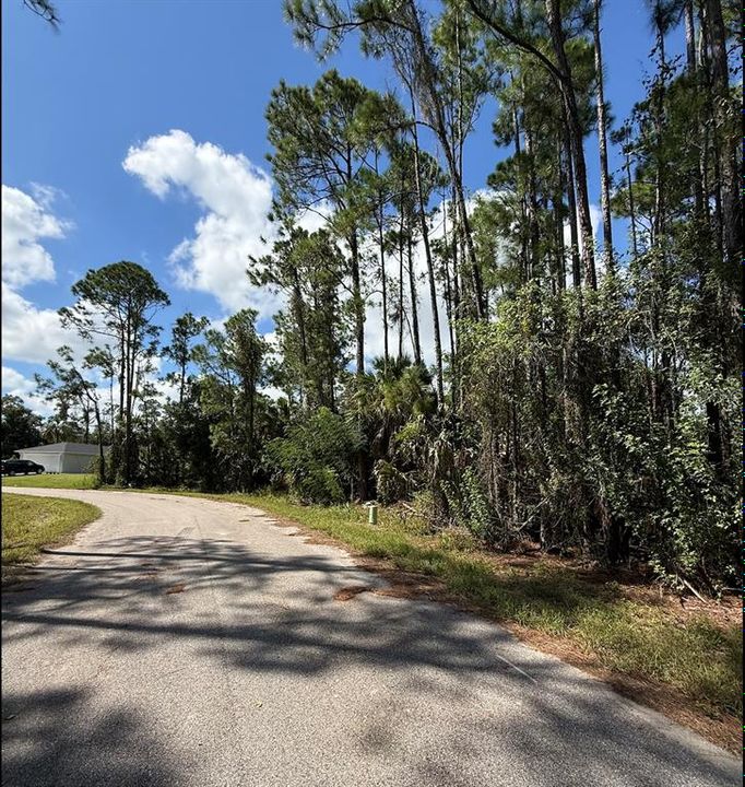 На продажу: $33,000 (0.39 acres)