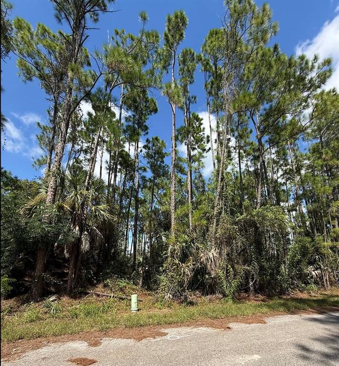 На продажу: $33,000 (0.39 acres)