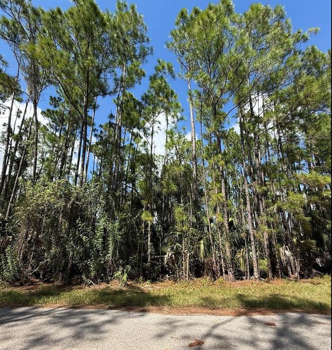 На продажу: $33,000 (0.39 acres)