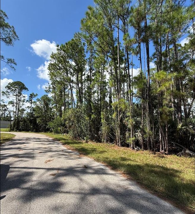 На продажу: $33,000 (0.39 acres)