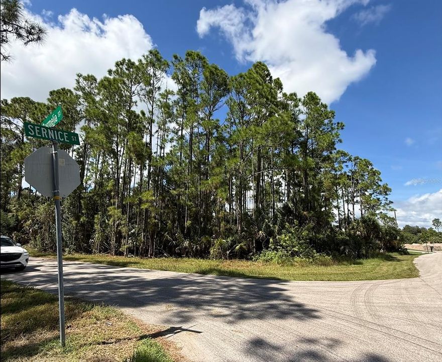 На продажу: $33,000 (0.39 acres)