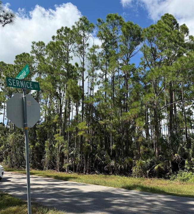 На продажу: $33,000 (0.39 acres)