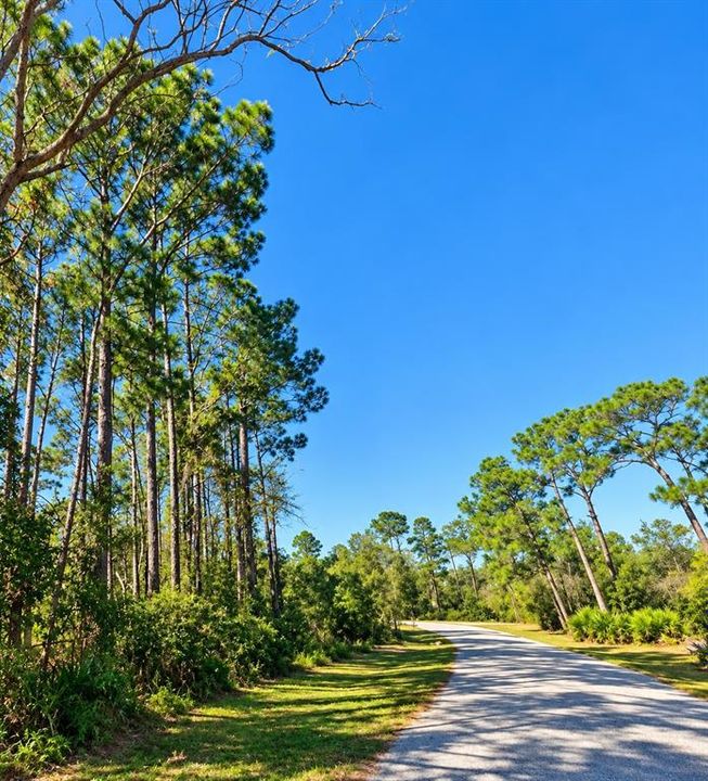 待售: $160,000 (0.55 acres)