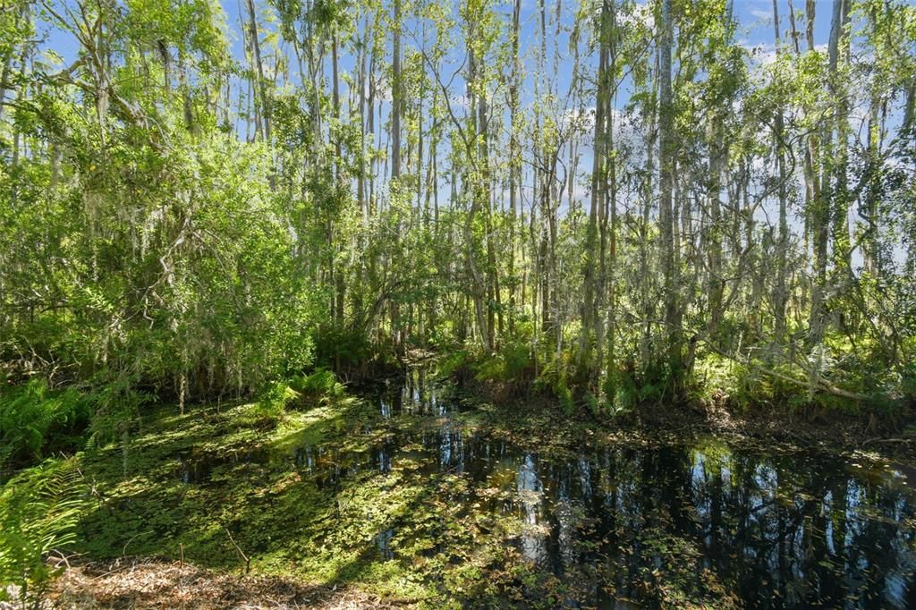 En Renta: $2,300 (3 camas, 2 baños, 1624 Pies cuadrados)