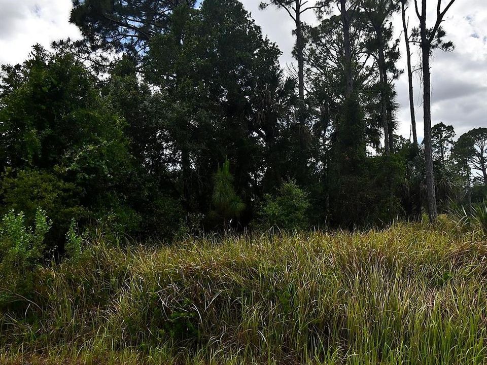 For Sale: $19,000 (0.35 acres)