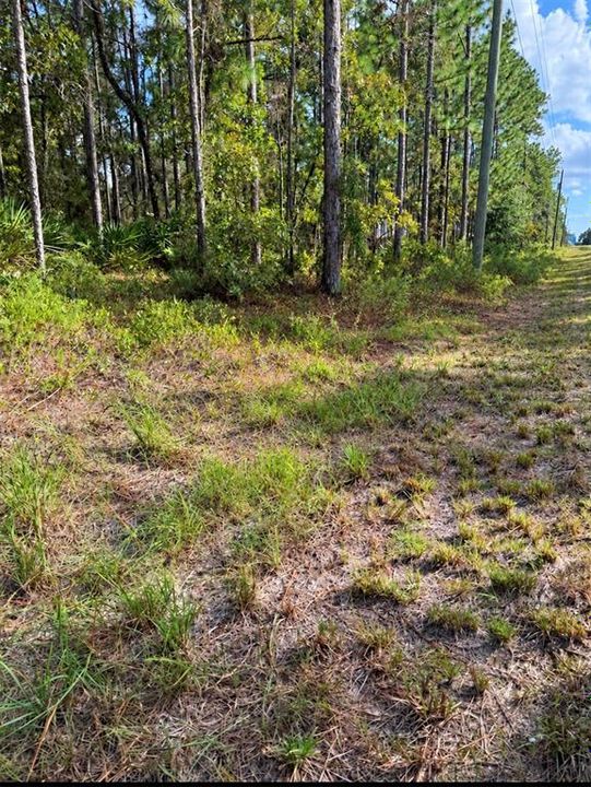 На продажу: $70,000 (0.46 acres)