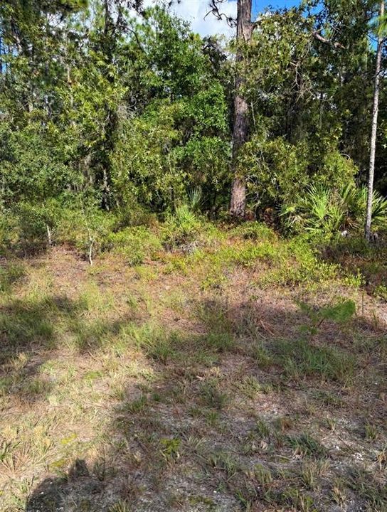 На продажу: $70,000 (0.46 acres)