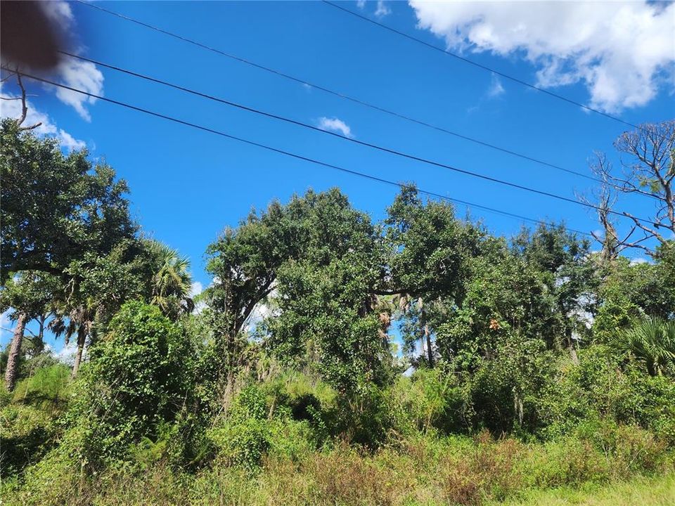 For Sale: $35,000 (0.29 acres)