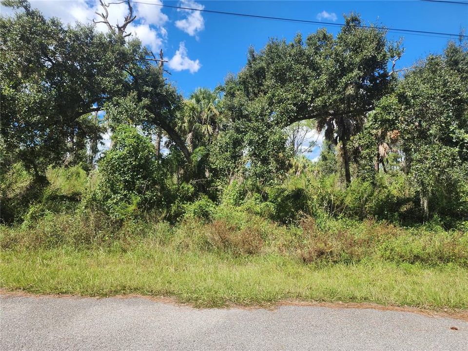 For Sale: $35,000 (0.29 acres)