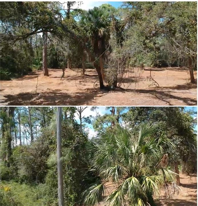 For Sale: $35,000 (0.29 acres)