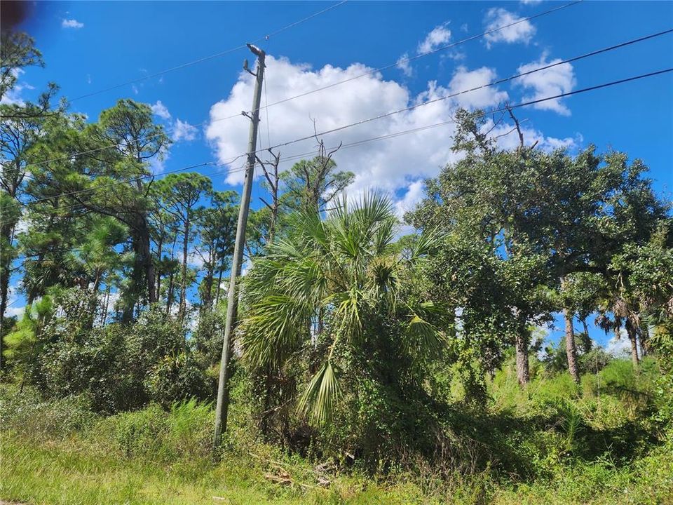 For Sale: $35,000 (0.29 acres)