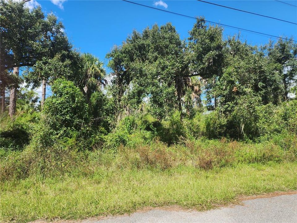 For Sale: $35,000 (0.29 acres)