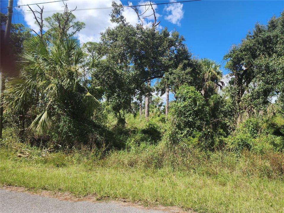 For Sale: $35,000 (0.29 acres)