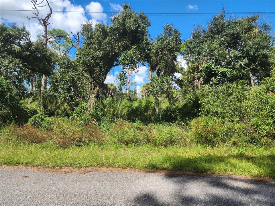 For Sale: $35,000 (0.29 acres)