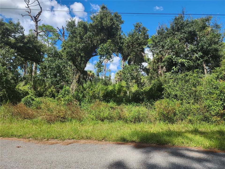 For Sale: $35,000 (0.29 acres)
