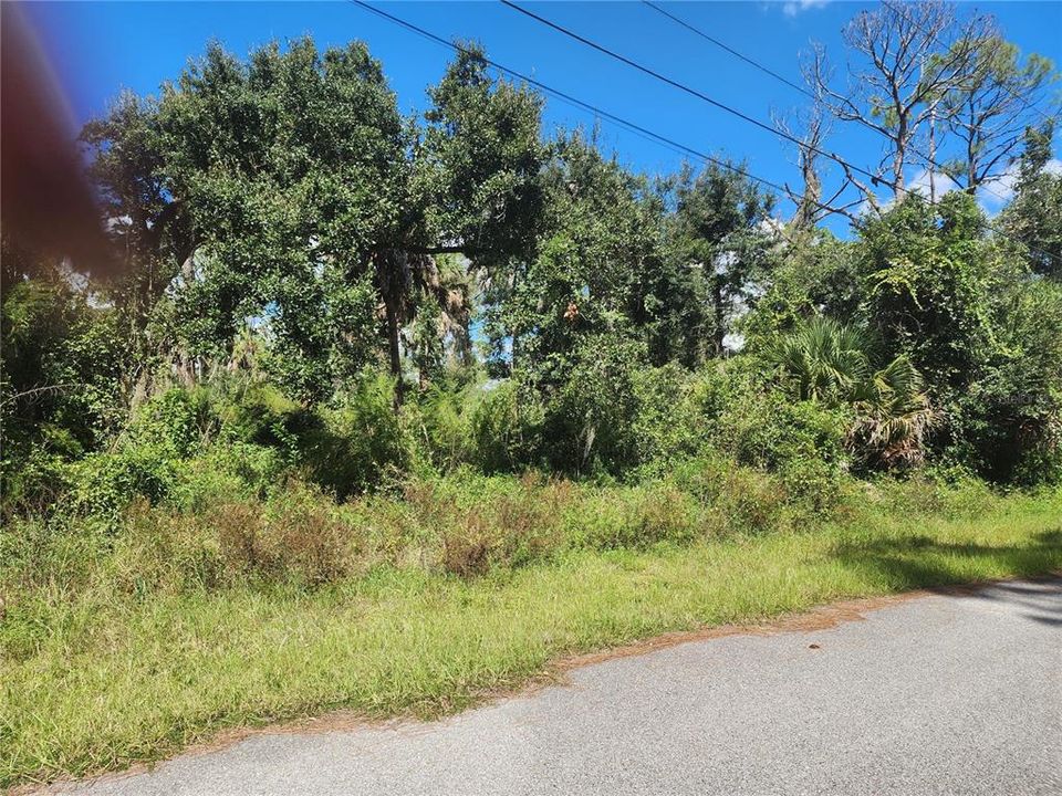 For Sale: $35,000 (0.29 acres)