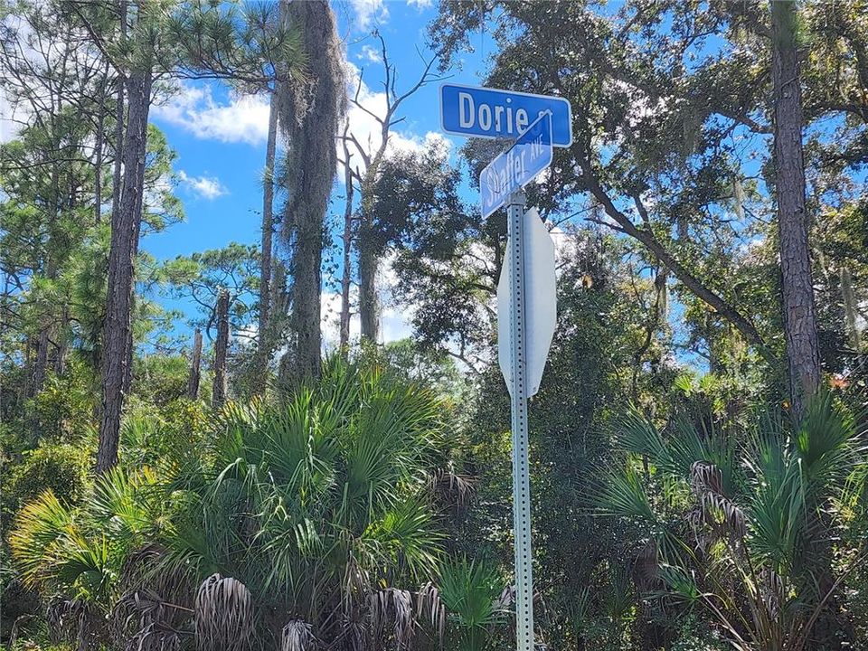 For Sale: $35,000 (0.29 acres)