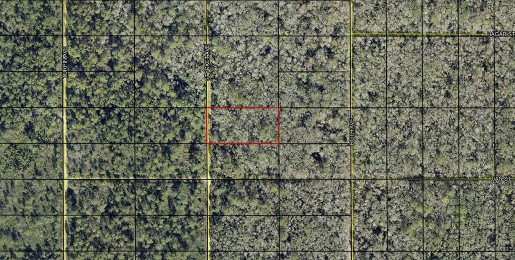 待售: $8,000 (1.25 acres)
