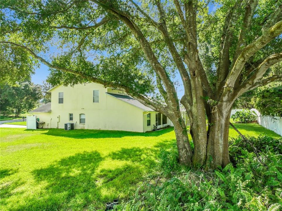 For Sale: $325,000 (3 beds, 2 baths, 1651 Square Feet)