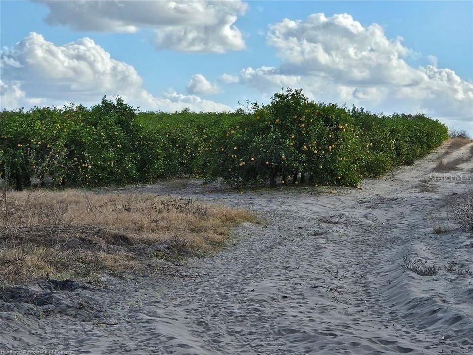 For Sale: $1,290,000 (86.99 acres)