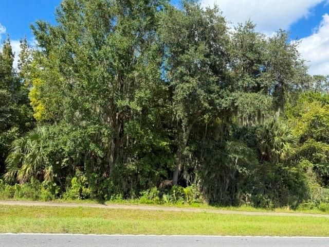 For Sale: $13,000 (0.14 acres)