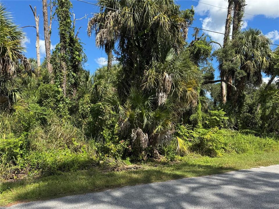 For Sale: $27,000 (0.29 acres)