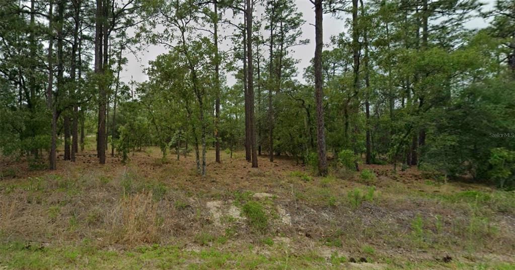 En Venta: $20,000 (1.00 acres)