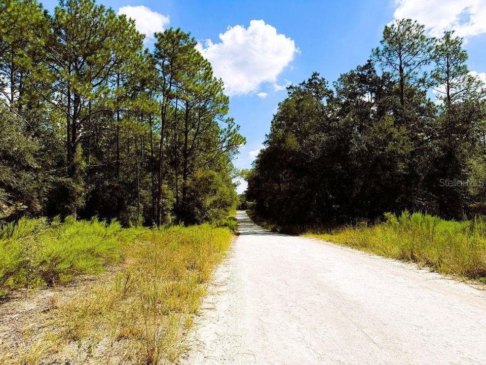 For Sale: $11,500 (0.23 acres)