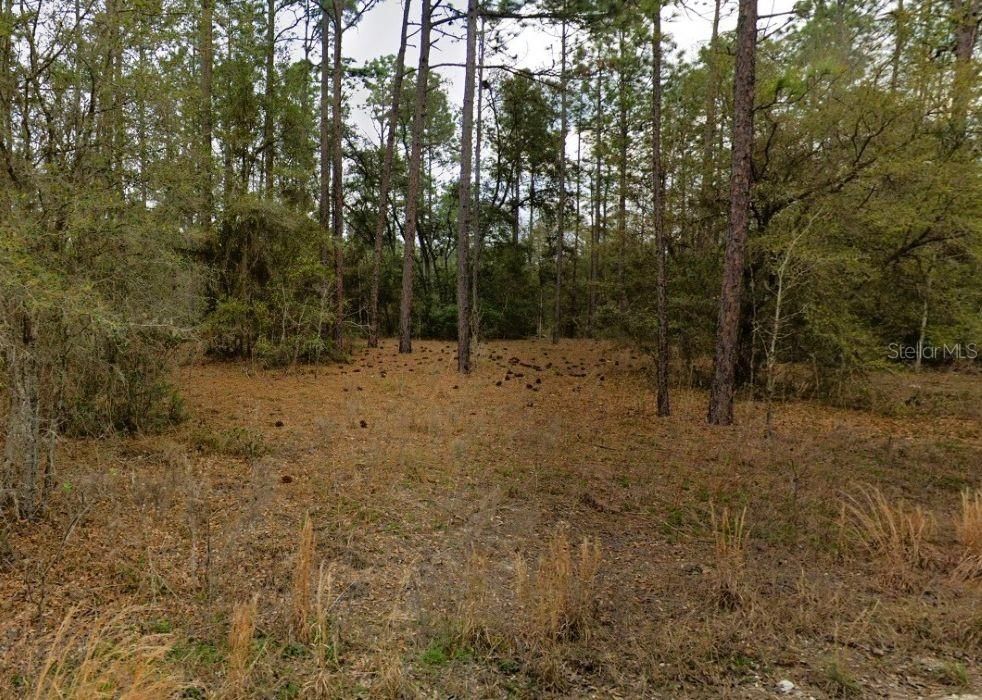 For Sale: $11,500 (0.23 acres)