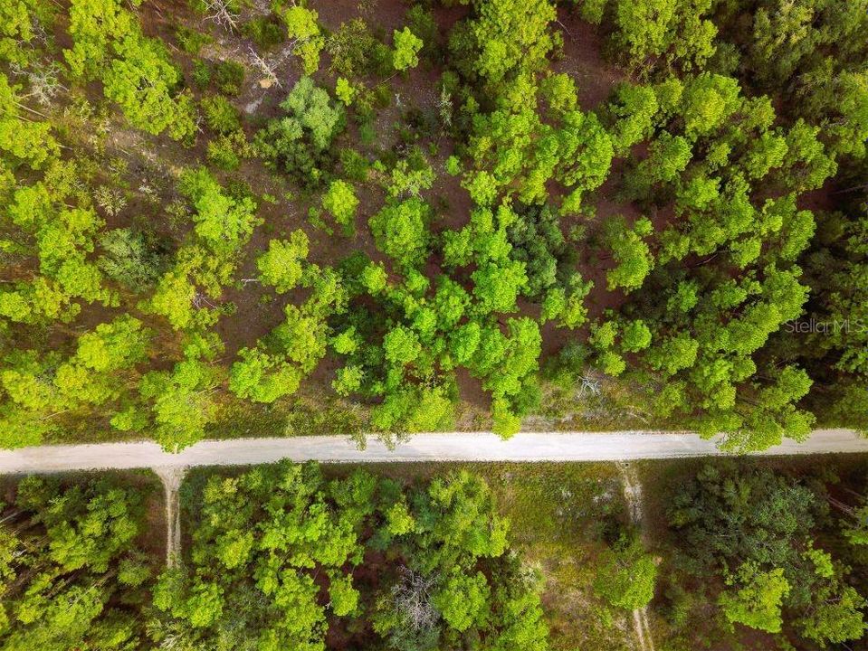 For Sale: $11,500 (0.23 acres)