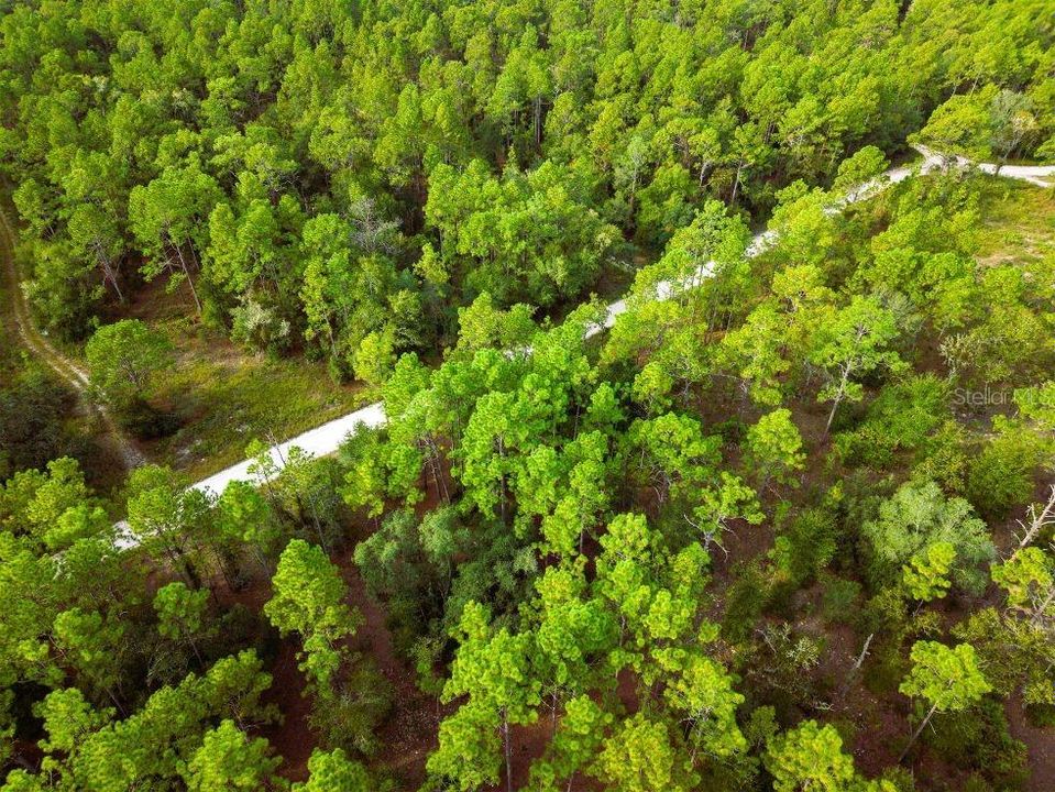 For Sale: $11,500 (0.23 acres)