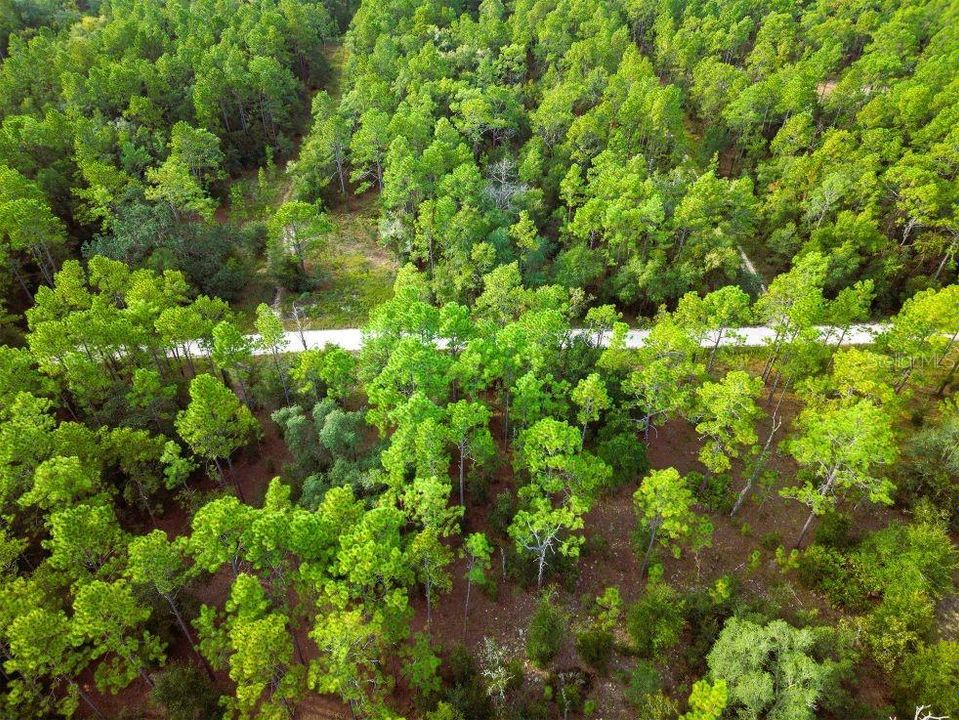 For Sale: $11,500 (0.23 acres)