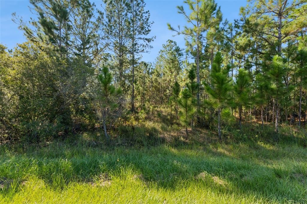 For Sale: $90,000 (0.87 acres)