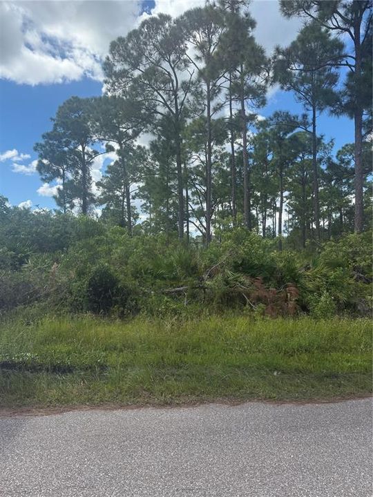 待售: $17,000 (0.23 acres)