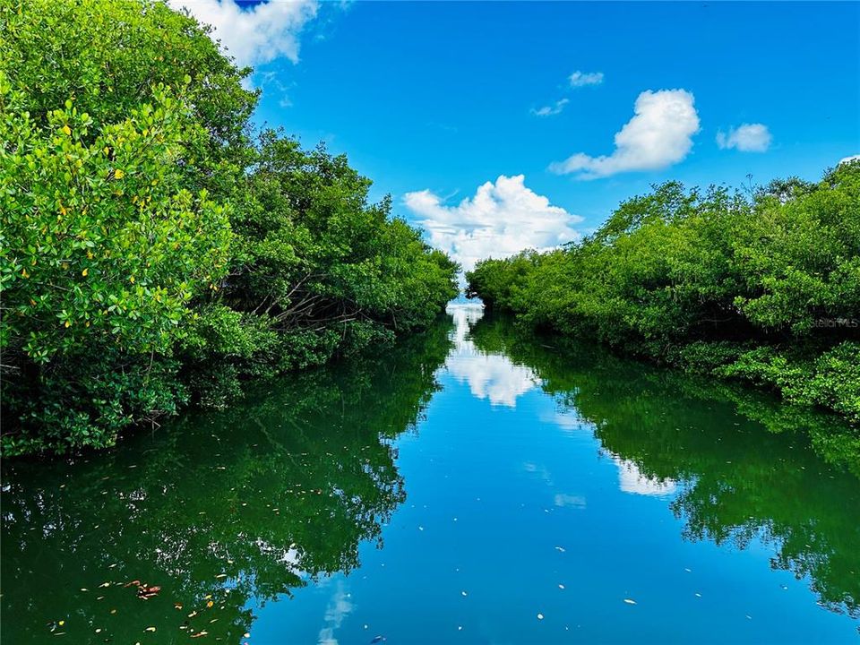 For Sale: $1,300,000 (0.51 acres)