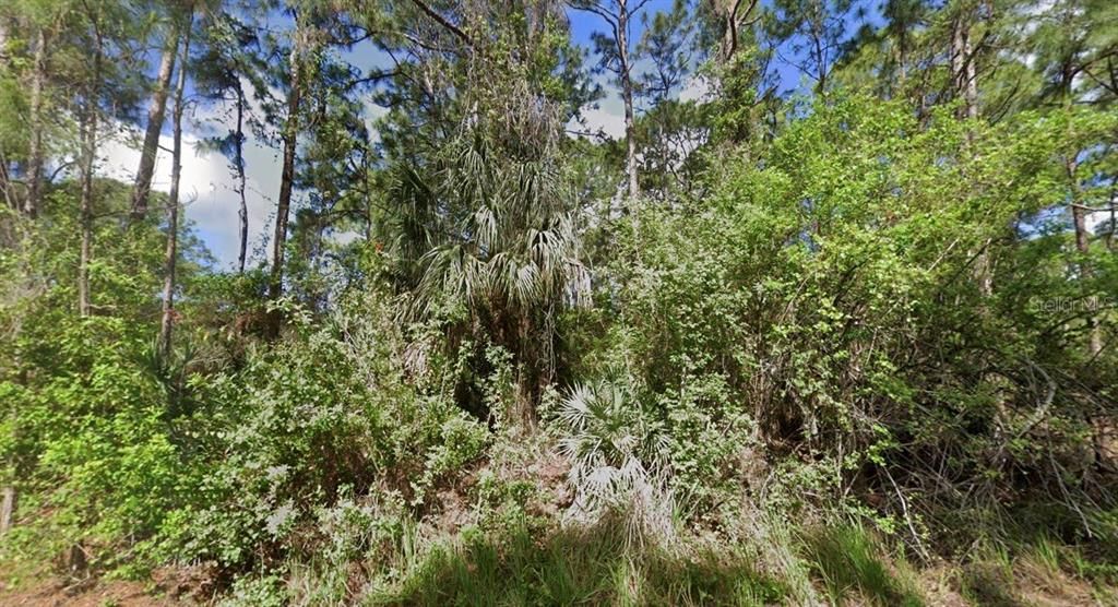 En Venta: $38,000 (0.24 acres)