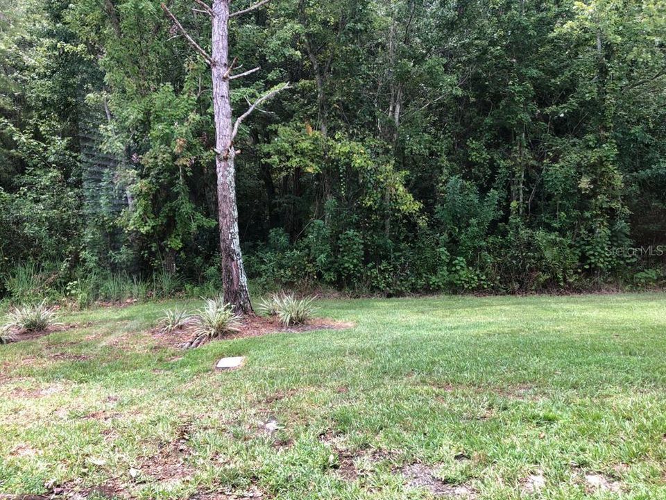 For Rent: $2,200 (3 beds, 2 baths, 1699 Square Feet)