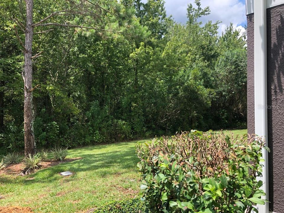 For Rent: $2,200 (3 beds, 2 baths, 1699 Square Feet)