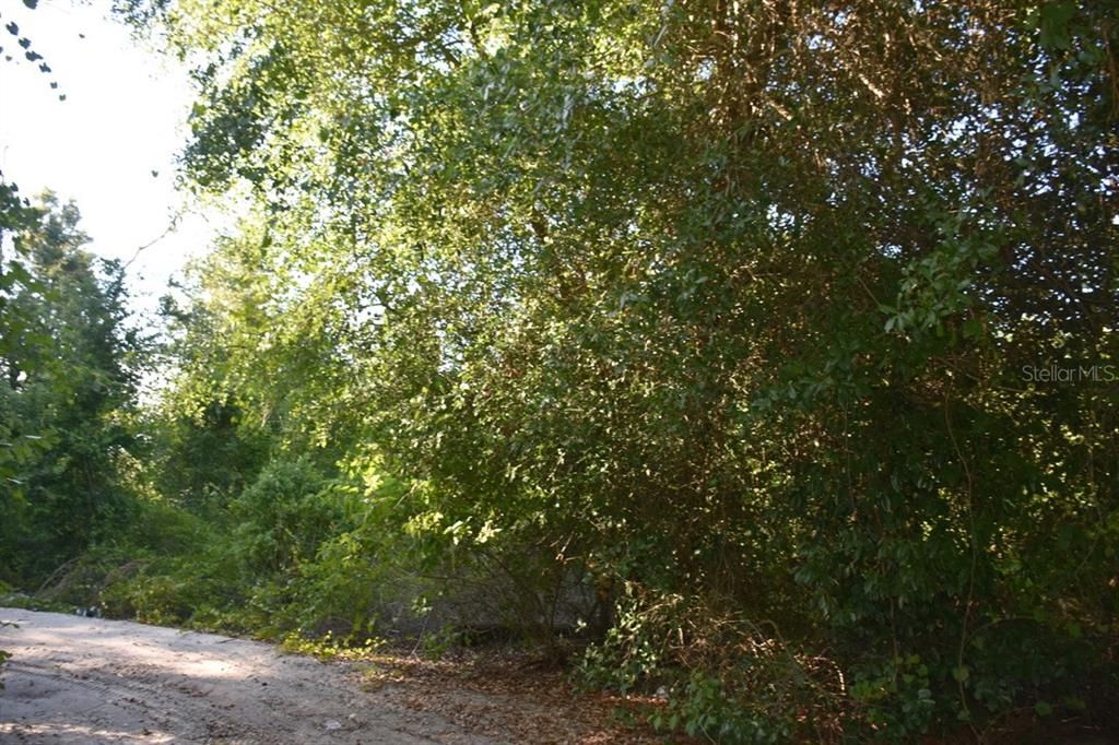 For Sale: $749,900 (8.31 acres)
