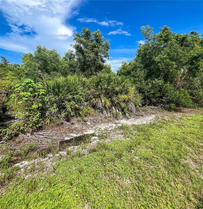 На продажу: $58,000 (0.51 acres)