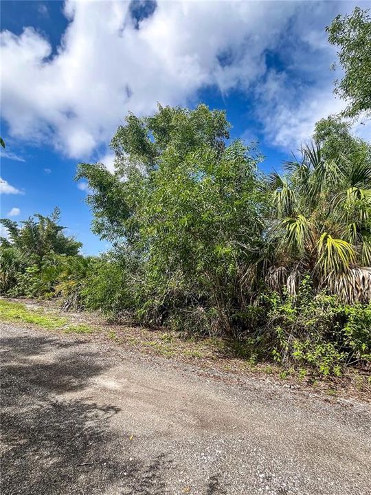 На продажу: $58,000 (0.51 acres)