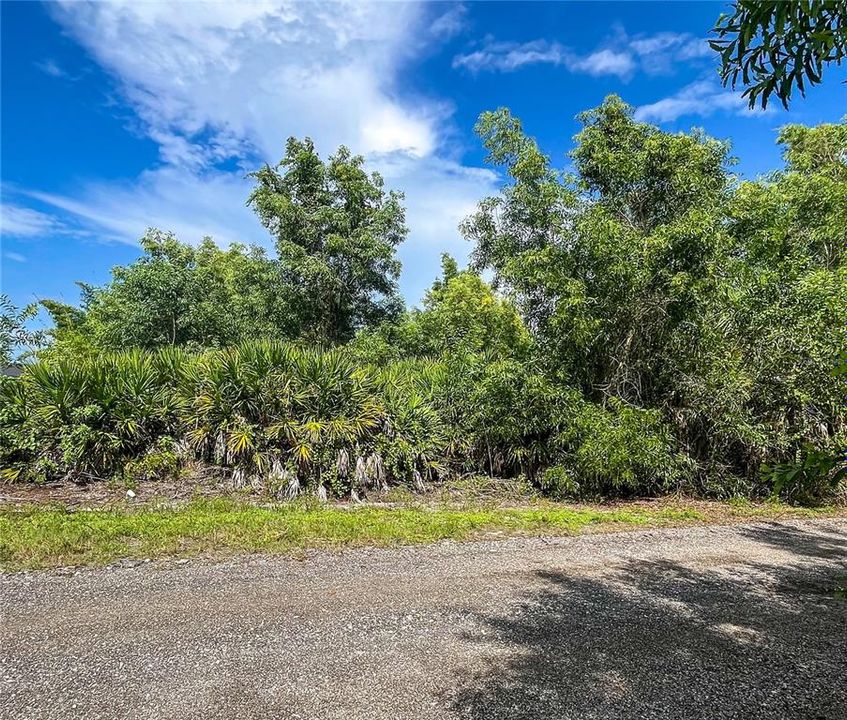 На продажу: $58,000 (0.51 acres)