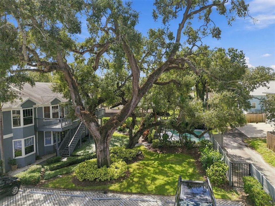 En Venta: $449,000 (2 camas, 2 baños, 1320 Pies cuadrados)
