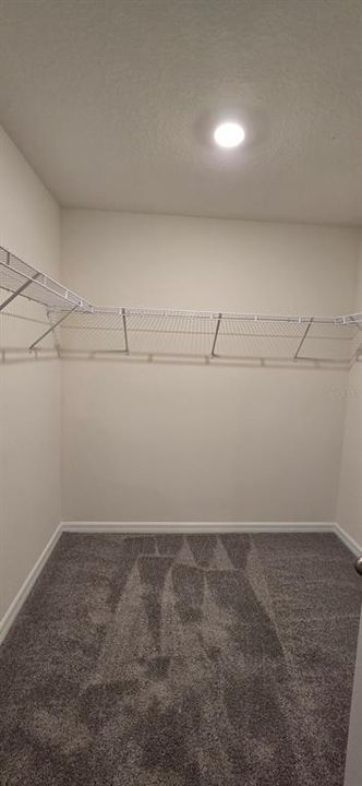 For Rent: $1,800 (4 beds, 2 baths, 1827 Square Feet)