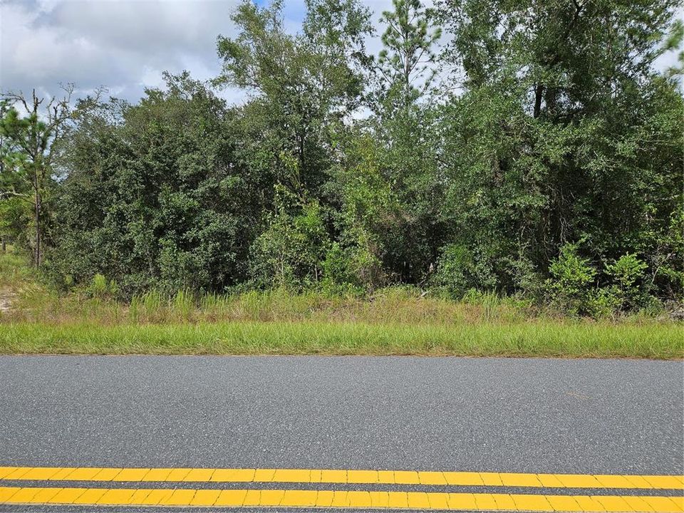 For Sale: $13,500 (0.24 acres)