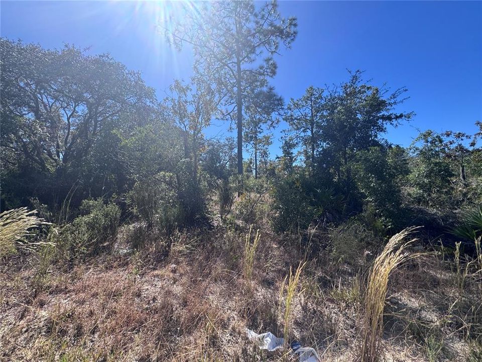 En Venta: $20,000 (0.48 acres)