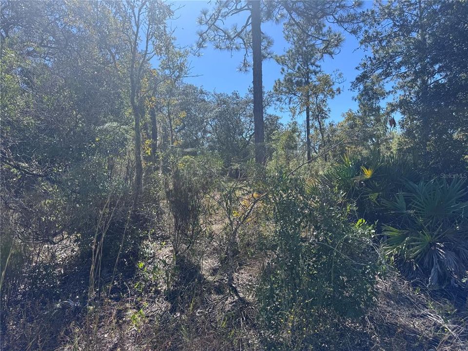 En Venta: $20,000 (0.48 acres)