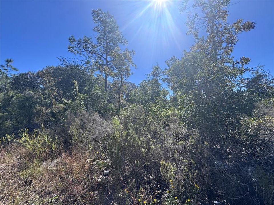 En Venta: $20,000 (0.48 acres)