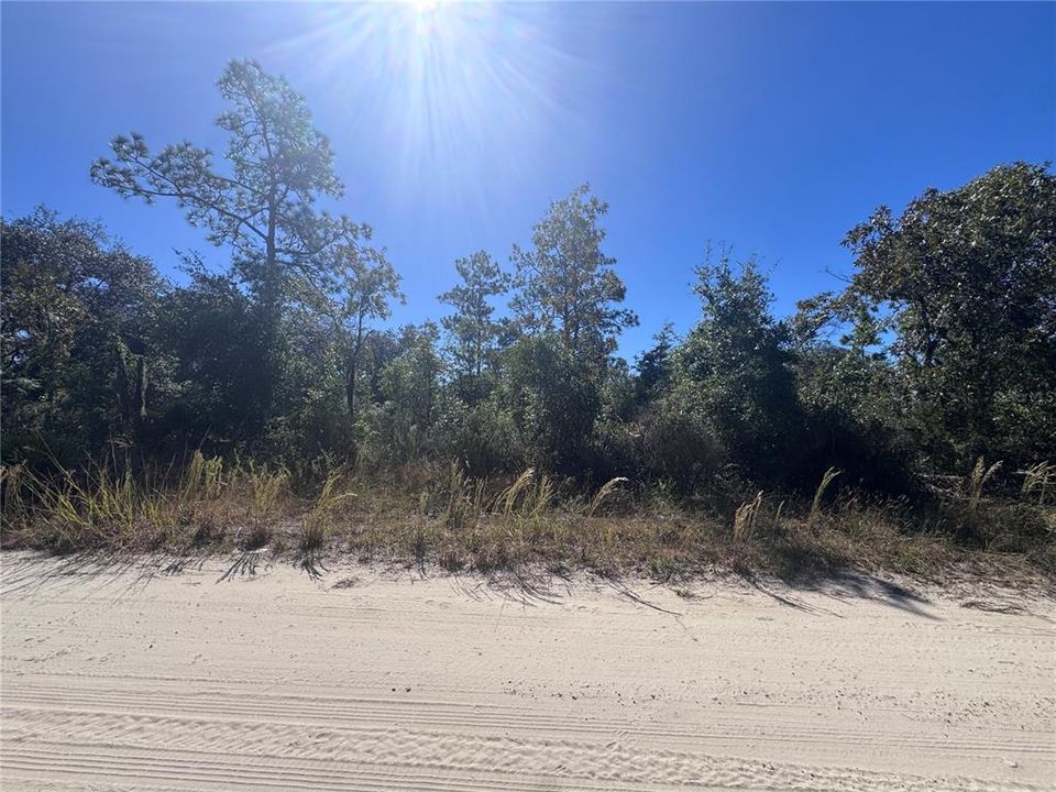 En Venta: $20,000 (0.48 acres)