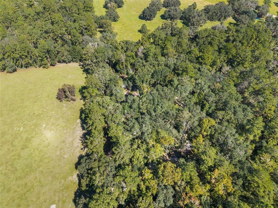 На продажу: $449,000 (3 спален, 2 ванн, 1586 Квадратных фут)